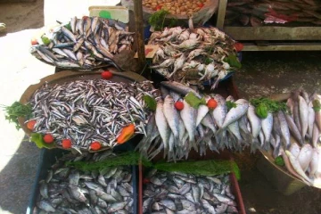 இலங்கையிலிருந்து மீன் உற்பத்திகளை இறக்குமதி செய்ய சீனா அனுமதி