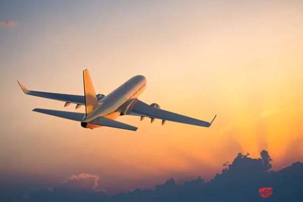 Bomb threat to plane - screaming passengers