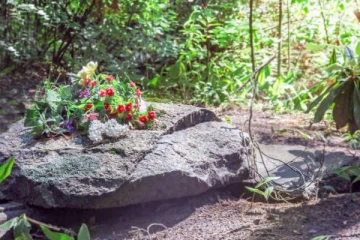 இறந்தவர்களின் உடலை இயற்கை உரமாக மாற்ற வழிவகை செய்யும் நாடு!