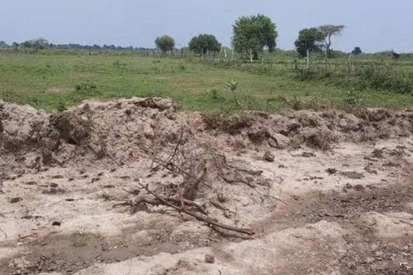 வயல் வெளியில் மீட்கப்பட்ட அபாயகரமான பொருள்! | Mutur Thoppur Bomb Recovered Special Task Force வயல் வெளியில் மீட்கப்பட்ட அபாயகரமான பொருள்! | Mutur Thoppur Bomb Recovered Special Task Force