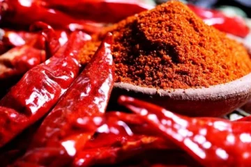 மிளகாய் பொடி வீசி கொள்ளையடித்த கர்ப்பிணி பெண் உள்ளிட்ட குடும்பம்