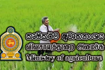 இலவச உர விநியோகம்: விவசாயிகளுக்கு விசேட அறிவிப்பு