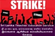 வேலைநிறுத்தத்திற்கு தயாராகும் ஆசிரியர் கல்வியாளர் சேவை வல்லுநர் சங்கம்