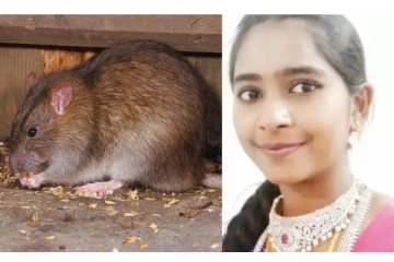 எலிக்கு வைத்த விஷம் தடவிய கேரட்டை சாப்பிட்ட மாணவி பரிதாப பலி - அதிர்ச்சியில் உறைந்து போன பெற்றோர்