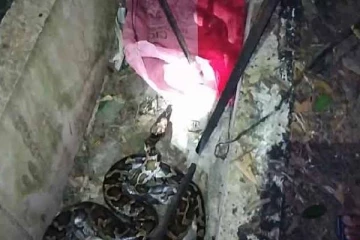 கந்தளாயில் 14 அடி நீளமான மலைப்பாம்பை மடக்கி பிடித்த மக்கள்!