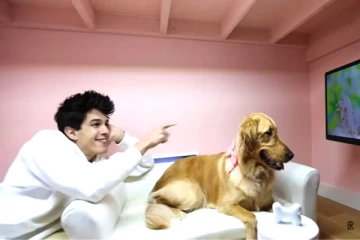 செல்ல நாய்க்கு ரூ.50 லட்சம் செலவில் வீட்டை பரிசாக கொடுத்த யூடியூபர்