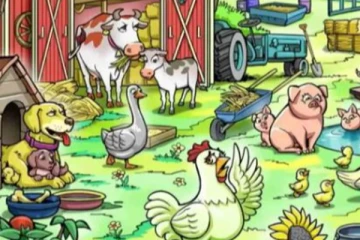 வெறும் 5 நொடியில் காணாமல் போன கோழி குஞ்சை கண்டுபிடிங்க... அட இங்க தான் ஒளிஞ்சி இருக்கா?