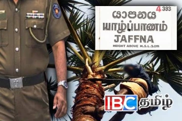 யாழில் பனையால் விழுந்ததாக கூறி குடும்பஸ்தர் வைத்தியசாலையில் அனுமதி - வைத்தியர்கள் சந்தேகம்