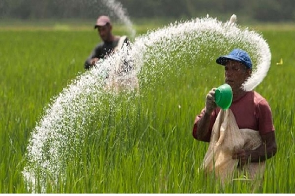 விவசாயிகளுக்கு மகிழ்ச்சியான தகவலை வெளியிட்டார் ரணில் | Fertilizer Is Given For The Maha Season