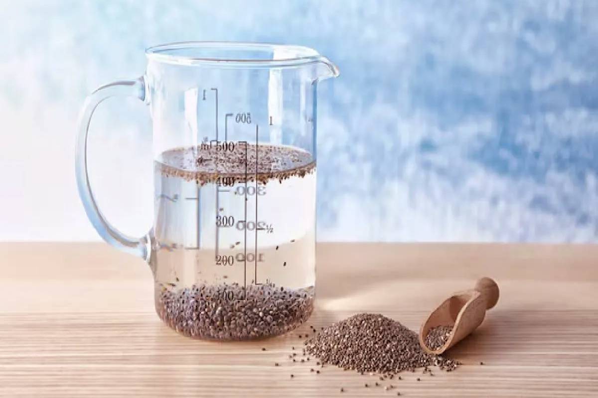 கோடை காலத்தில் சியா விதைகள் தண்ணீரை குடித்தால் என்ன பயன்? | Drink Chia Seed Water In Summer Benefits Right Way