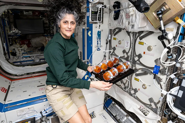 நாசாவிலிருந்து ஓய்வு பெறும் சுனிதா வில்லியம்ஸ்! இவரது சம்பளம் மற்றும் சொத்து மதிப்பு தெரியுமா? | Sunita Williams Retirement Net Worth Salary Nasa