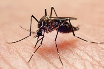 நாட்டில் பதிவான டெங்கு நோயாளர்கள் தொடர்பில் வெளியான தகவல்