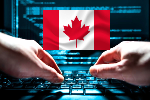 கனடாவில் இடம்பெறும் குற்றச் செயல்கள் தொடர்பில் தகவல் | Police Reported Crime Statistics In Canada 2024