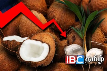 நாட்டில் தொடரும் தேங்காய் தட்டுப்பாடிற்கு புதிய தீர்வு