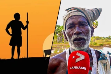 பெரும் சிரமங்களை எதிர்நோக்கும் விவசாயிகள்
