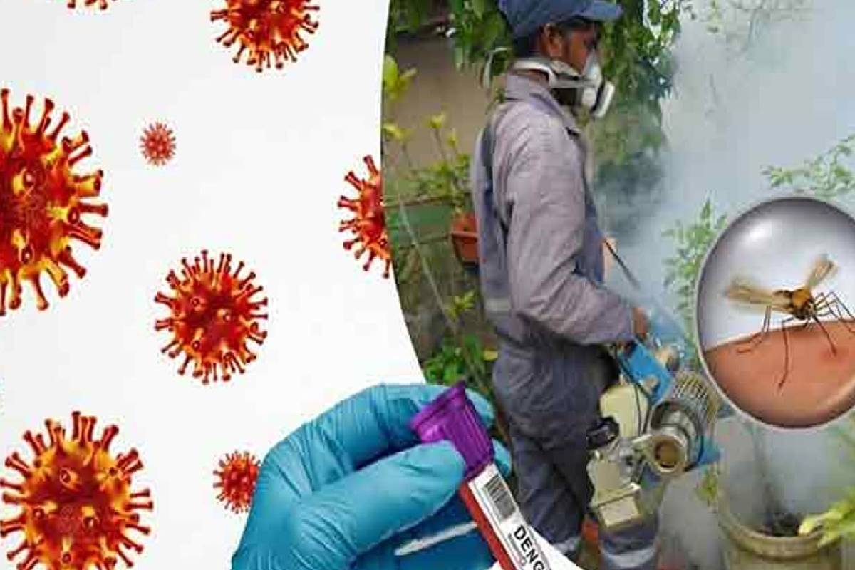 நாட்டில் அடுத்த இரண்டு வாரங்களுக்கு டெங்கு அபாயம் தீவிரம் | Dengue Risk To Increase For Next Two Weeks