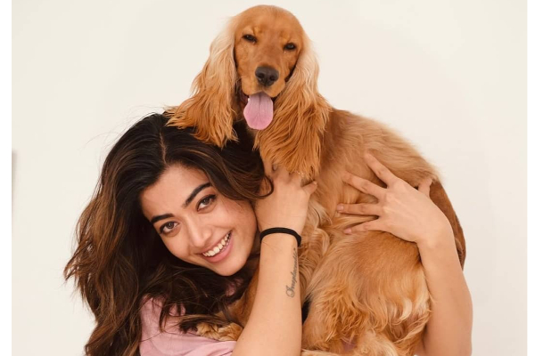 வாரிசு ஹீரோயின் 