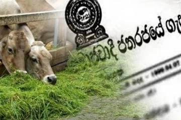 இன்று முதல் அமுலாகும்  வகையில் விசேட வர்த்தமானி வெளியீடு!