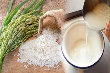 அரிசியை தண்ணீரில் ஊறவைத்து சமைக்கிறீங்களா? அப்போ இதை எல்லாம் தெரிஞ்சுக்கோங்க