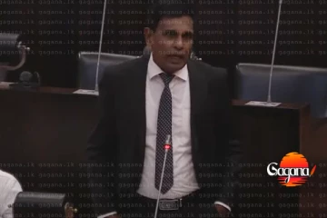 හිටපු ජනපතිවරු ඉල්ලීමක් කරොත් ආරක්ෂක වාහන දෙන්න පුළුවන්