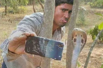 பாம்புடன் செல்பி எடுத்து கொஞ்சல்! திடீரென நேர்ந்த விபரீதம்