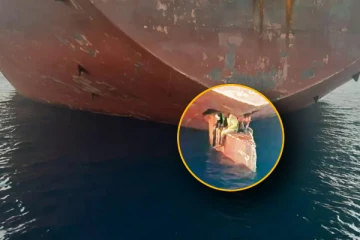 கப்பலின் வால் பகுதியில் தொற்றிக்கொண்டு ஸ்பெயின் வரை பயணித்த புலம்பெயர்ந்தோர்!