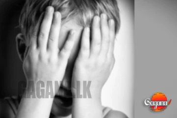 මම දැනගත්තා මාව අහුවෙන බව ඒ හින්දා මම අම්මටත් ඇත්තම කිව්වා සර්, කහතුඩුවේ පැහැර ගැනීම සිසුවාගේම සැළසුමක්