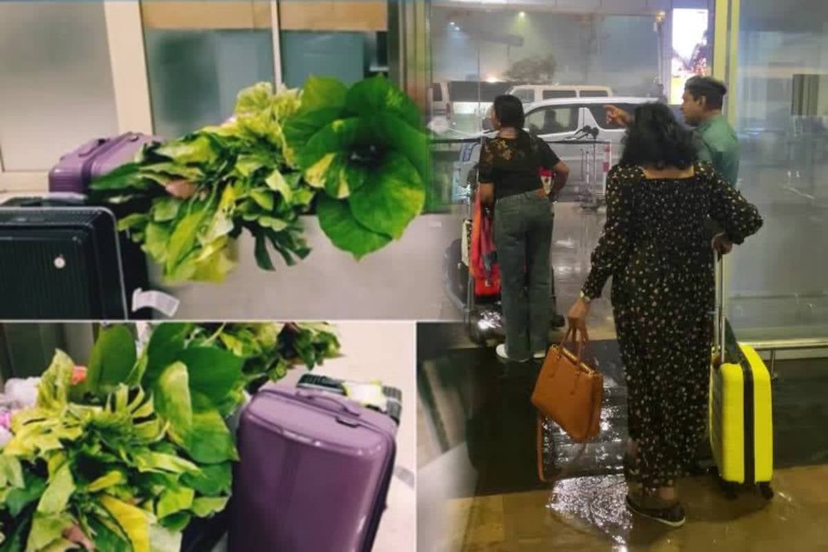 கட்டுநாயக்க விமான நிலையத்தில் இலங்கை பெண் கைது | Sri Lankan Women Arrested In Bia கட்டுநாயக்க விமான நிலையத்தில் இலங்கை பெண் கைது | Sri Lankan Women Arrested In Bia