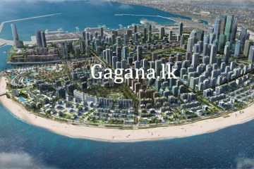 චීනයට පෝට් සිටියෙන් වන්දියක්.