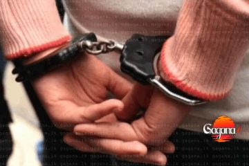 කොල්ලුපිටිය ස්පා වැටලීම - විදේශීය කාන්තාවන් 10ක් අත්අඩංගුවට