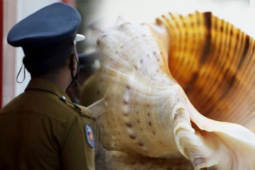 வலம்புரிச் சங்கை விற்க முயன்ற ஆறு பேர் கைது