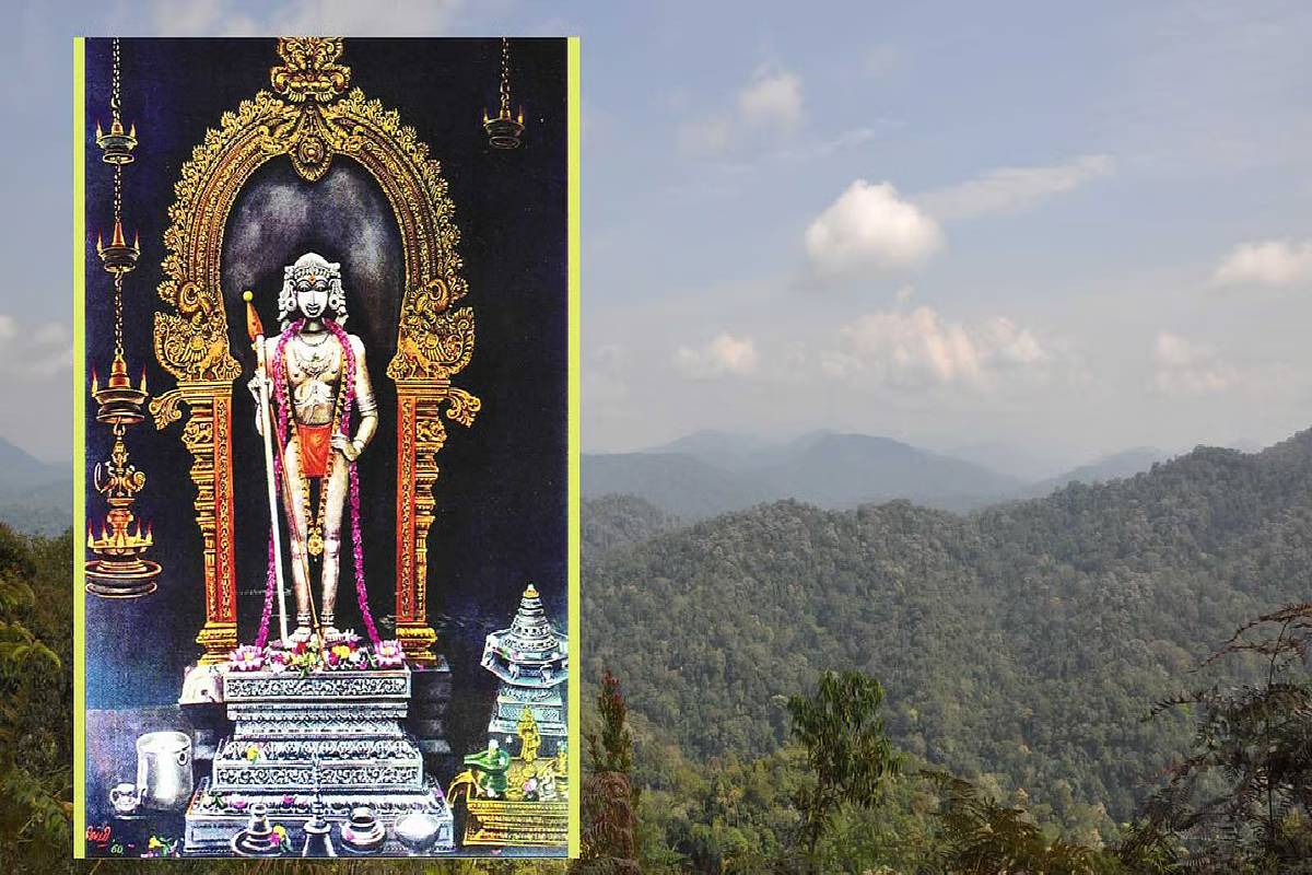 கருடன் வந்த அந்த நொடி... பழனி மலையில் இரவில் நடக்கும் அதிசயங்கள்! | Miracles Happening At Palanimalai Murugan Temple