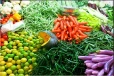 மரக்கறி விலை குறித்து வெளியான புதிய அறிவிப்பு