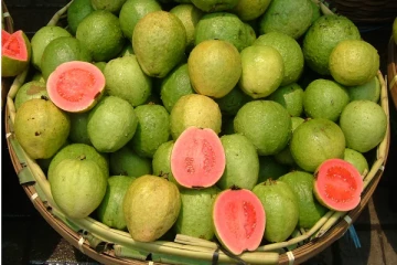 கொய்யாப்பழத்தில் இவ்வளவு மருத்துவ குணங்களா?