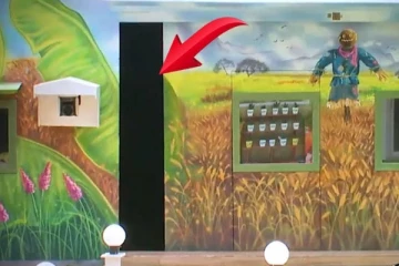 பிக் பாஸில் 50 வது நாளில் மற்றொரு வைல்கார்டு என்ட்ரி.... யார் அந்த பிரபலம் தெரியுமா?