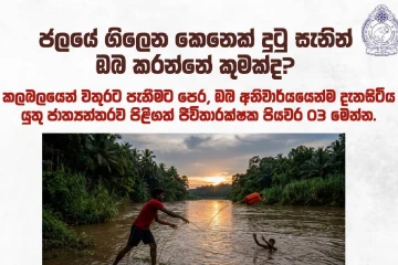 ජලයේ ගිලෙන කෙනෙකු දුටුවොත් නොපෙනී වතුරට පනින්න එපා - ඔබත් ආරක්ෂා වී තවකෙකුගේ ජීවිතයක් බේරාගන්නා පියවර 3ක්!
