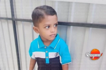 අනේ දෙයියනේ මාලු බලන්න ගිය මල් කැකුළට වුණ අපරාධයක්