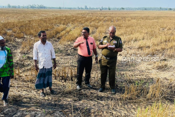 அம்பாறையில் விவசாய நடவடிக்கையில் ஈடுபட்டுக் கொண்டிருந்த நபரொருவர் உயிரிழப்பு | Farmer S Body Inquest In Ampara