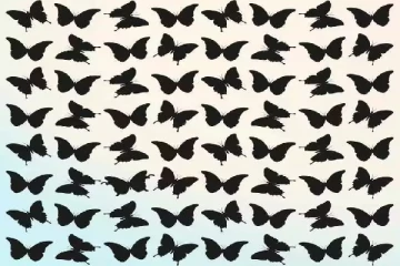 optical illusion: படத்தில் இருக்கும் வித்தியாசமான பட்டாம்பூச்சியை கண்டுபிடிக்க முடியுமா?