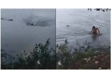 வெறியோடு கடித்து கொதற வந்த முதலையிடம் துணிச்சலாக சண்டையிட்ட நபர் - நெஞ்சை பதற வைக்கும் வீடியோ