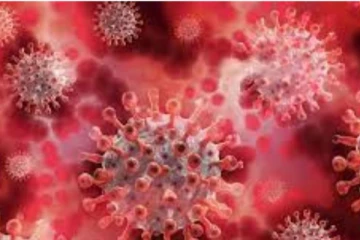 மற்றொருமுக்கிய திமுக வேட்பாளருக்கு கொரோனா: சோகத்தில் கட்சியினர்