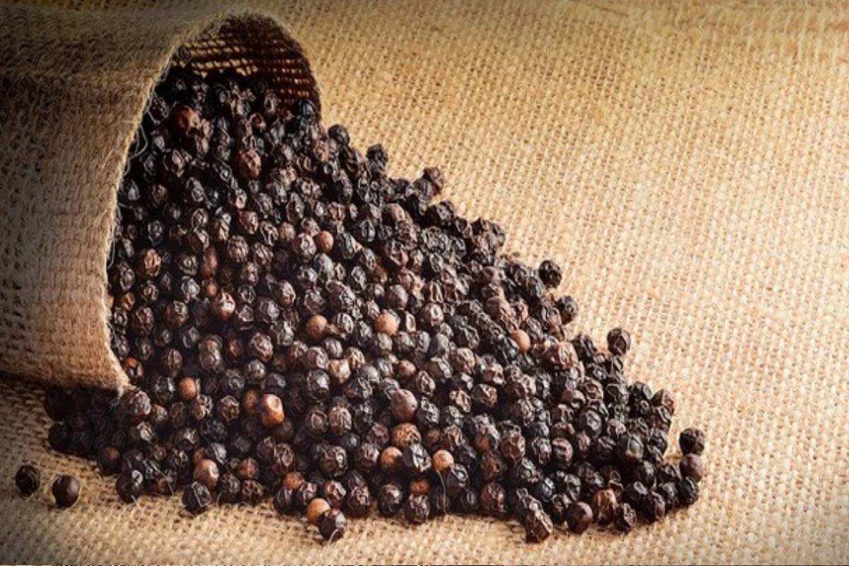 கருப்பு மிளகை நம் உணவில் சேர்த்தால் இவ்வுளவு நன்மைகளா? | What Benefits You Get By Eating Black Pepper கருப்பு மிளகை நம் உணவில் சேர்த்தால் இவ்வுளவு நன்மைகளா? | What Benefits You Get By Eating Black Pepper