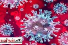 கொரோனா தாக்கத்திலிருந்து தப்பித்துக்கொள்ள உண்ண வேண்டிய உணவுகள்