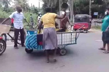 இலங்கையில்  இப்படி ஒரு கொடூர பெண்; நாய்களைக்கூட விட்டுவைக்கவில்லை!