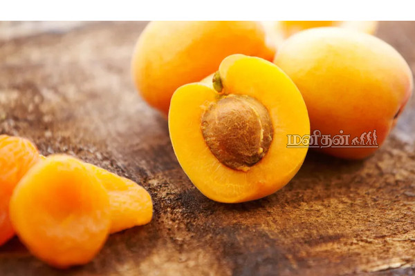 மீனா கணவர் உயிரைப் பறித்த நுரையீரல் தொற்று! நுரையீரலை பாதுகாக்க எந்தெந்த உணவு உட்கொள்ள வேண்டும்? | Actress Meena Husband Death Lungs Safe Food Tamil