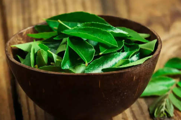 கறிவேப்பிலை உணவில் இருந்தால் தூக்கி எறிபவரா? இது உங்களுக்குதான்.... இனி தவறு செய்யாதீர்கள் | Curry Leaves Benefits