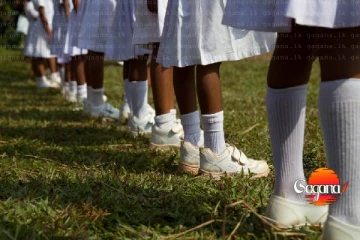 පාසල් යන ඔබේ දරුවාට සුබවාදී ආරංචියක් මෙන්න