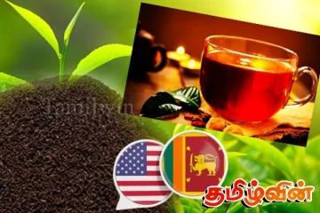 அமெரிக்காவுக்கான இலங்கையின் தேயிலை ஏற்றுமதியில் ஏற்படவுள்ள சிக்கல்
