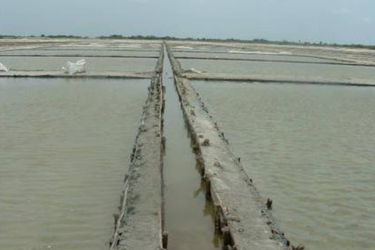 கிளிநொச்சிக்கு திடீர் விஜயம் மேற்கொண்ட நிதி திட்டமிடல் பிரதியமைச்சர் | Deputy Minister Finance Sudden Visit Kilinochchi