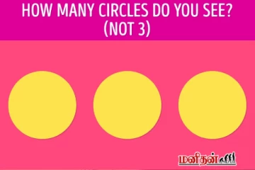 இதில் எத்தனை வட்டங்கள் உள்ளன? நிச்சயமாக மூன்று இல்லை